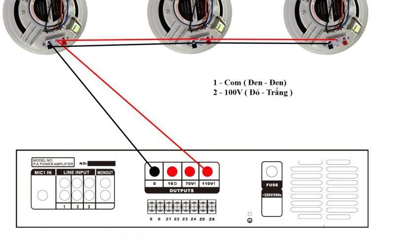 Kết nối amply với loa âm trần