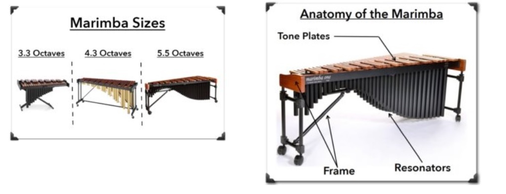 So sánh đàn mộc cầm Marimba và Xylophone